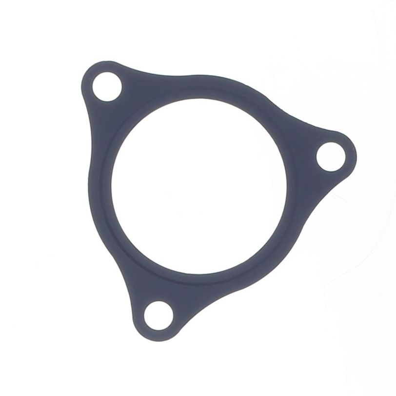 Exhaust Gasket