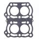 Exhaust Gasket