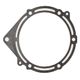 Exhaust Gasket