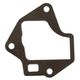 Exhaust Gasket