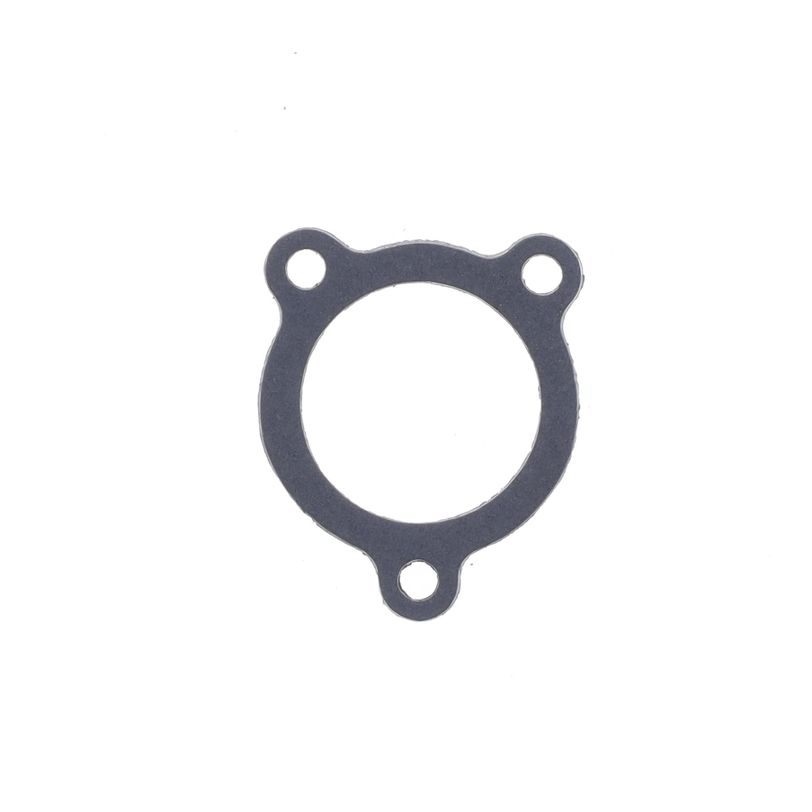 Exhaust Gasket