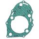 Exhaust Gasket