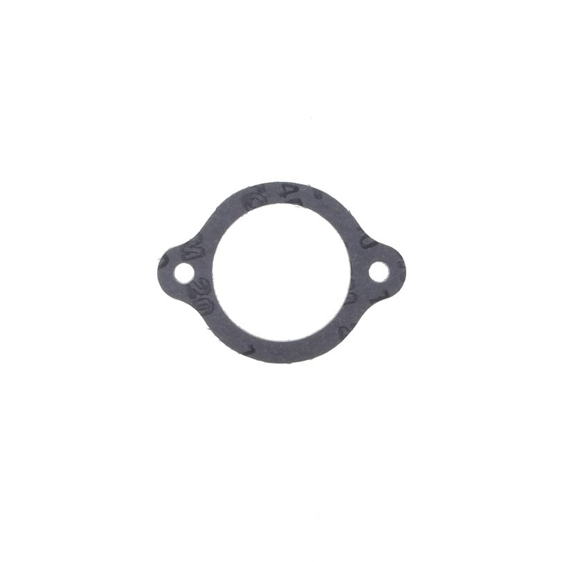Exhaust Gasket