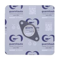 Exhaust Manifold Gasket