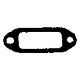 Exhaust Manifold Gasket