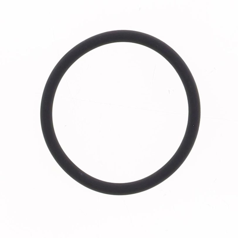 Exhaust O-ring