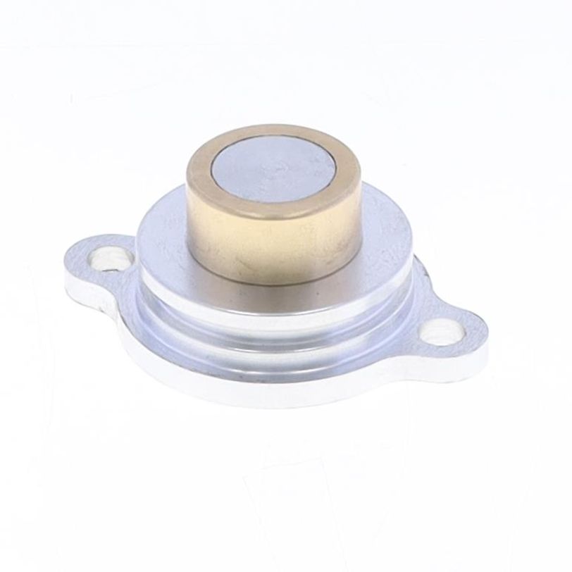 Exhaust Valve Cap