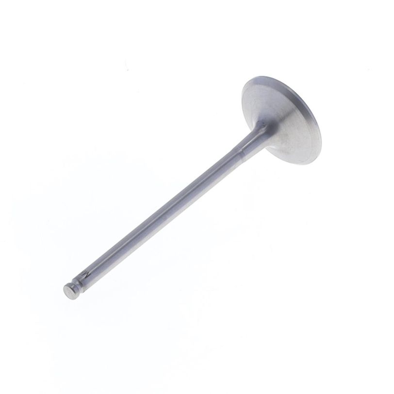 Exhaust Valve