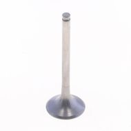 Exhaust Valve