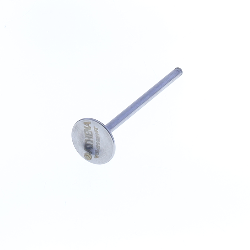 Exhaust Valve