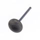 Exhaust Valve