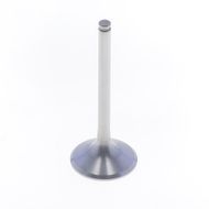 Exhaust Valve