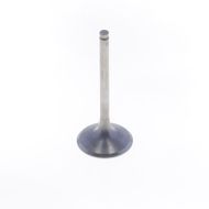 Exhaust Valve