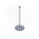 Exhaust Valve