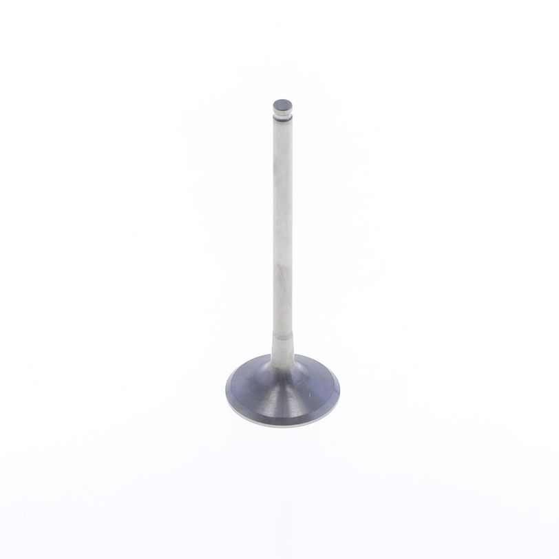 Exhaust Valve