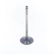 Exhaust Valve