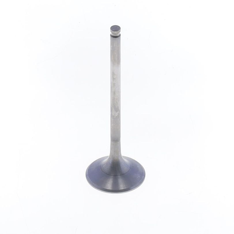 Exhaust Valve