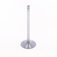 Exhaust Valve