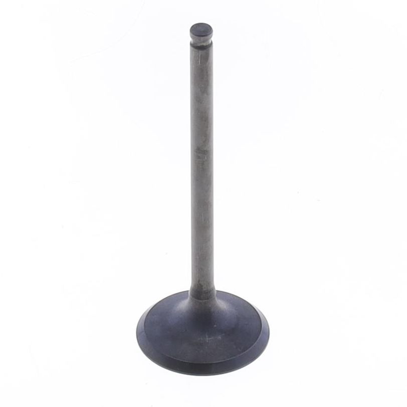 Exhaust Valve