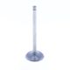 Exhaust Valve
