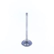 Exhaust Valve