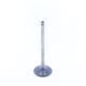 Exhaust Valve