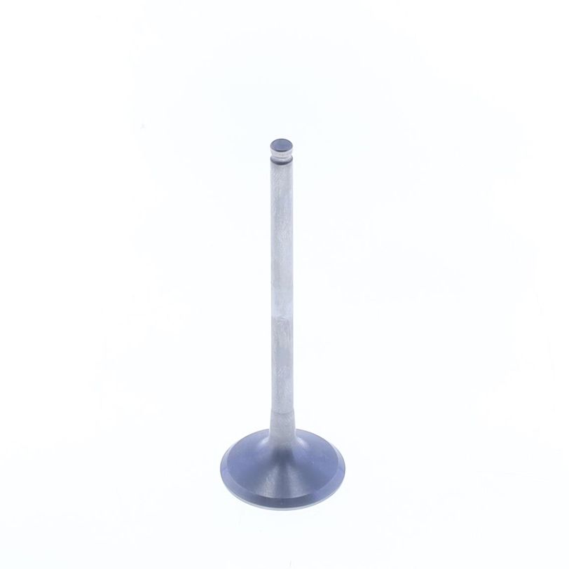 Exhaust Valve