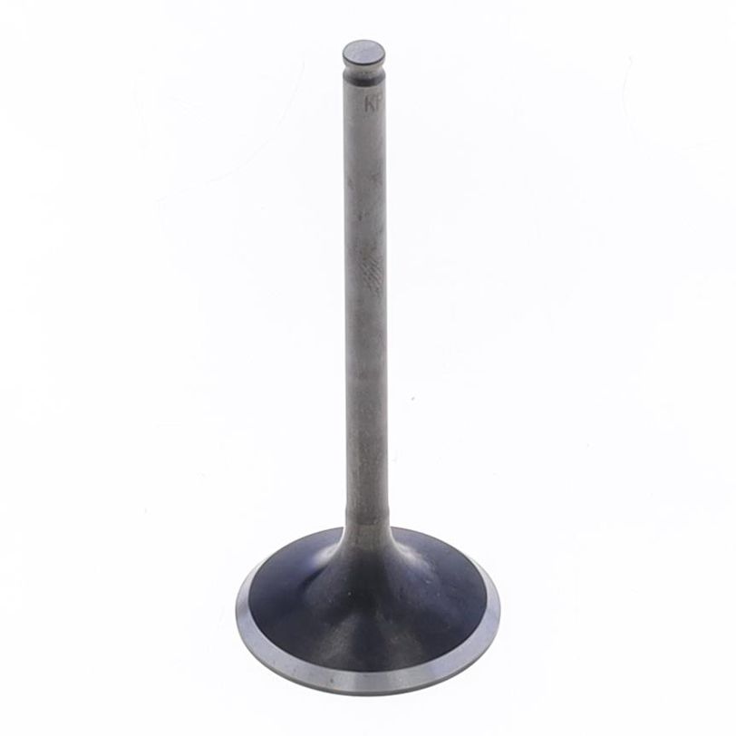 Exhaust Valve