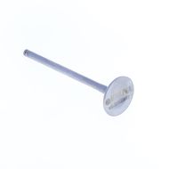 Exhaust Valve