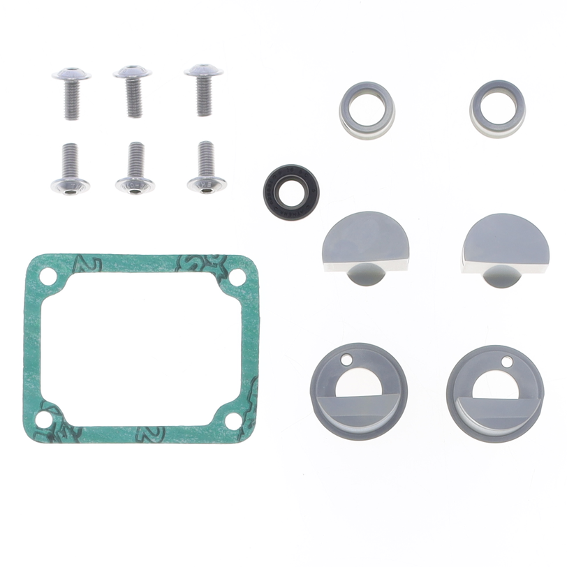Exhaust Valves Kit 