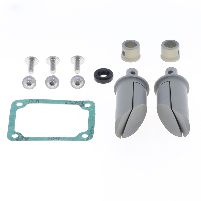 Exhaust Valves Kit 