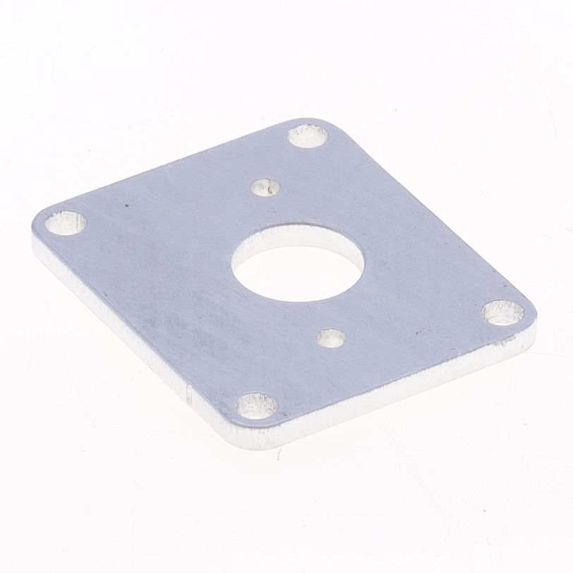 Flange for Manifold for Athena Cylinder Kit 003800/1