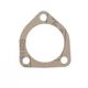 Flange Gasket