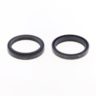 Fork Oil Seal Kit NOK, Kayaba Marzocchi 48x58,1x8,5/10,5 mm