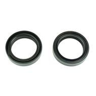 Fork Oil Seal Kit, Paioli 36x48x11 mm