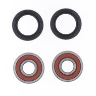 Front Wheel Bearing Kit