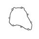 Generator Side Gasket