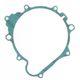 Generator Side Gasket