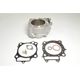 Gruppo Termico Standard Bore Ø 96 mm, 450 cc con Serie Guarnizioni  (Pistone non incluso)