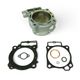 Gruppo Termico Standard Bore Ø 96 mm, 450 cc con Serie Guarnizioni  (Pistone non incluso)