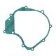 Guarnizione Lato Generatore