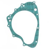 Guarnizione Lato Generatore