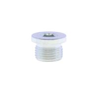 Hexagon socket screw plug DIN908 made of zinc plated steel G 1" - MOD.41B