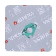 Intake Gasket