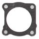Intake Gasket