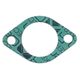 Intake Gasket