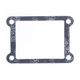 Intake Gasket