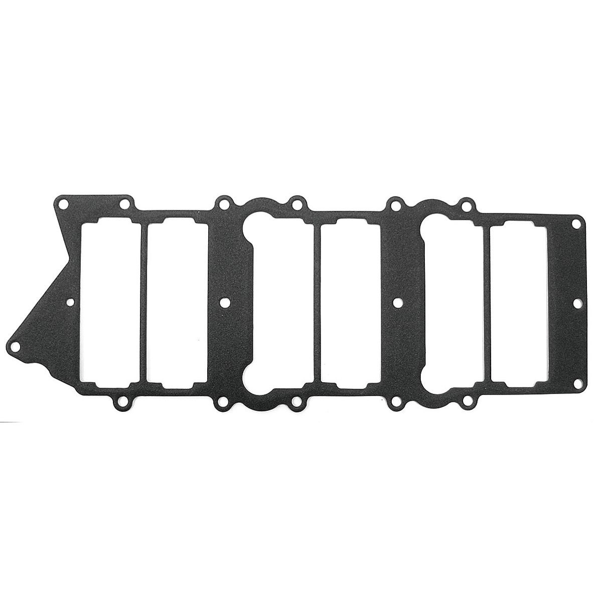 Intake Gasket Athena