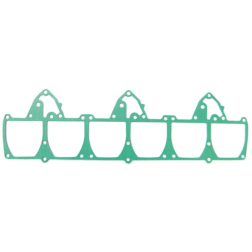 Intake Gasket