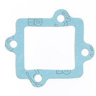 Intake Gasket